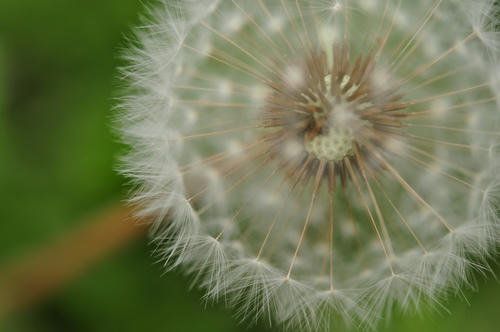 20101116