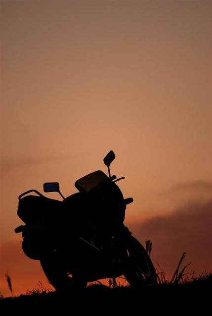20101214