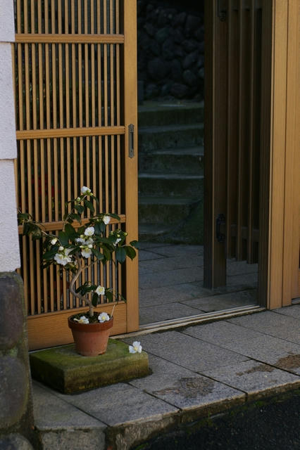 20101223