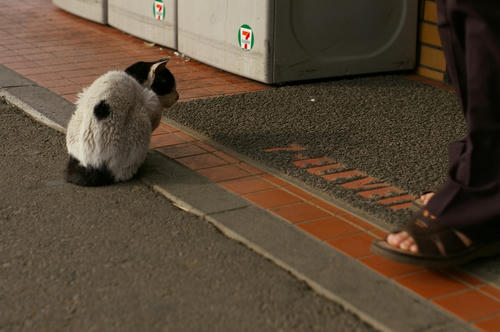 20110113