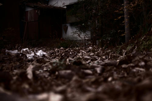 20110114