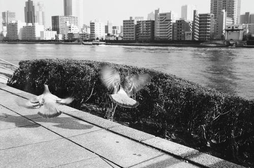 20110210