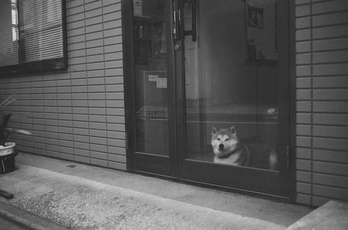 20110227