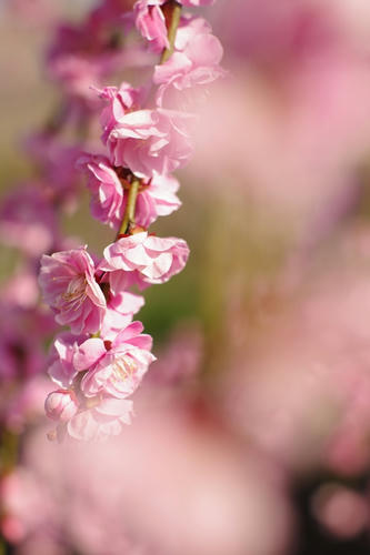 20110305