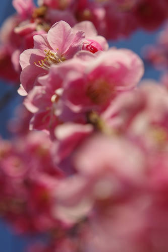 20110305