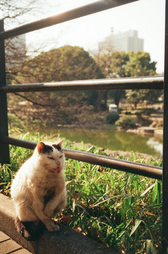 20110322