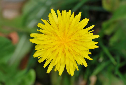 20110326