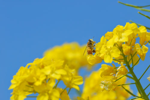 20110329