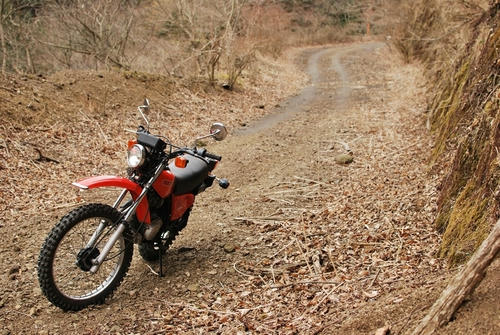 20110404
