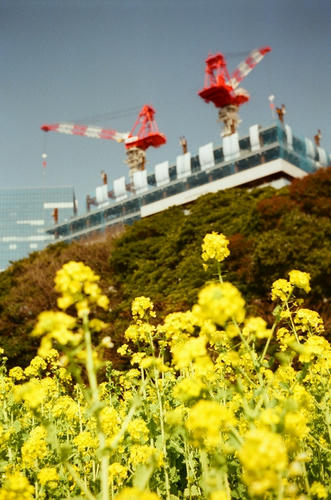20110415
