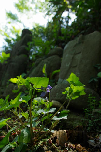 20110424