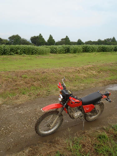 20110807