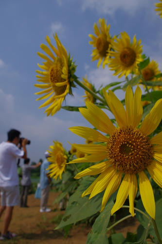20110814