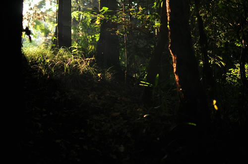 20110919
