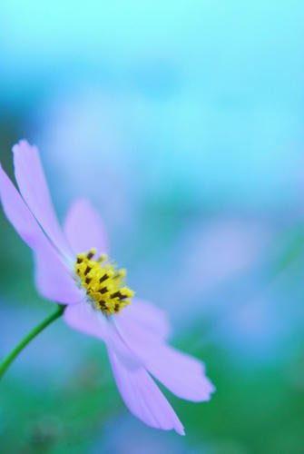 20111022