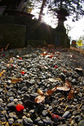 20111103