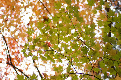 20111104