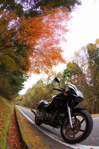 20111110
