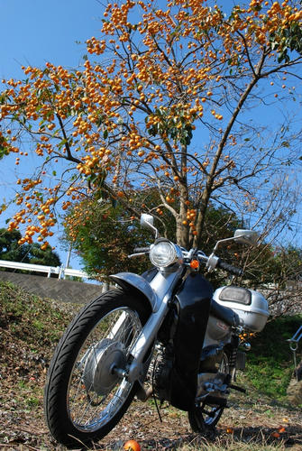 20111111