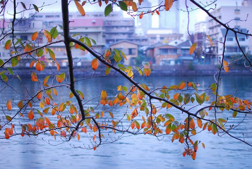 20111119