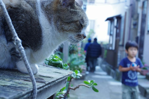 20111121