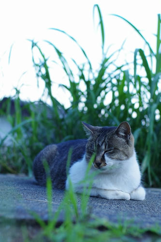 20111124