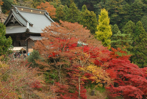 20111128