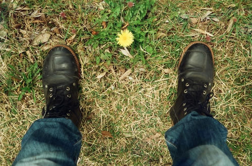 20111231