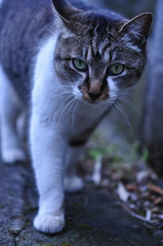 20120317