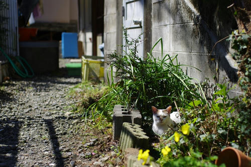 20120325