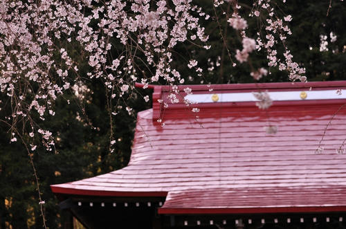 20120414