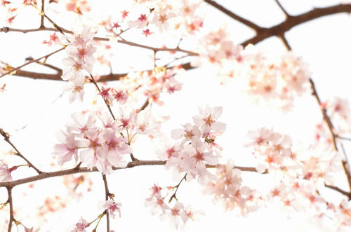 20120414