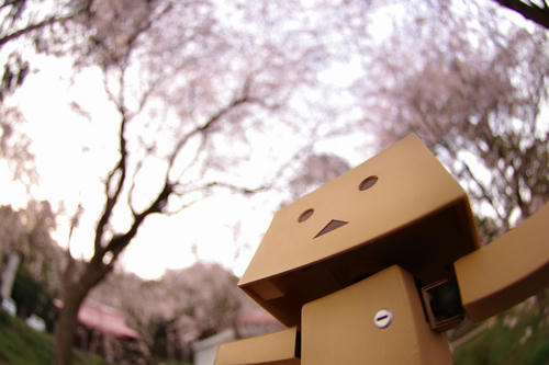 20120426