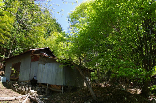 20120520