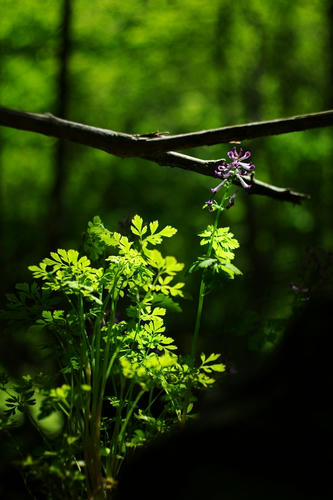 20120527