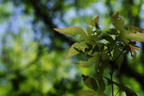 20120527