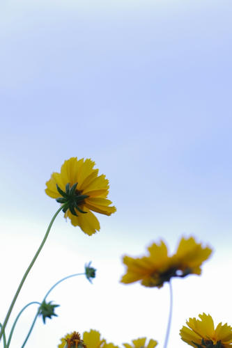 20120528