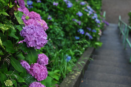 20120617