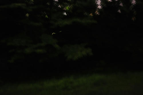 20120620