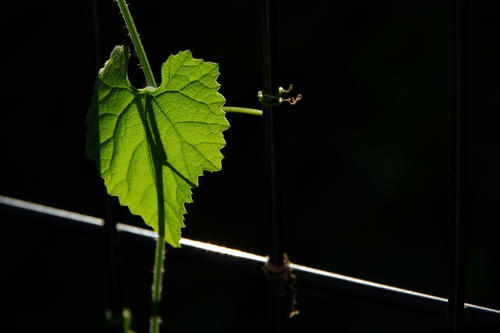 20120714