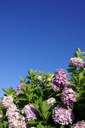 20120714
