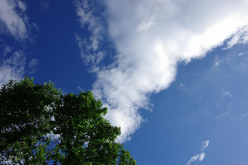 20120721