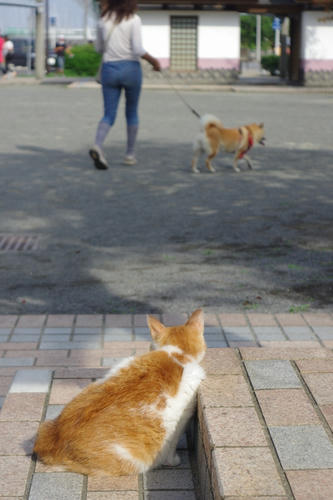 20120728
