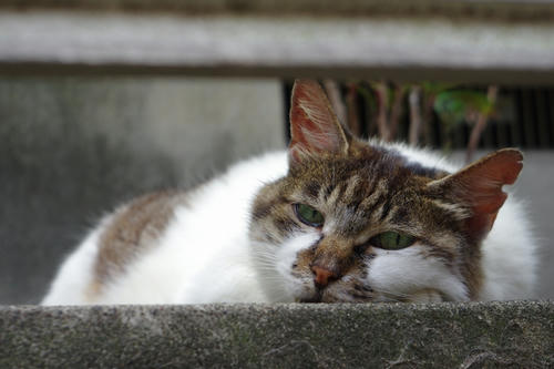 20120803