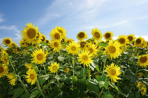 20120820