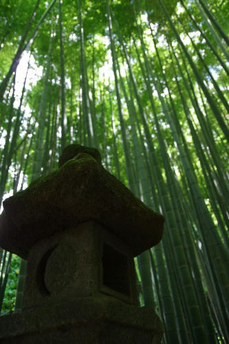 20120821