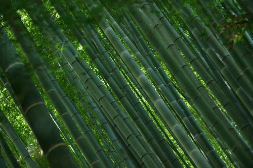 20120821