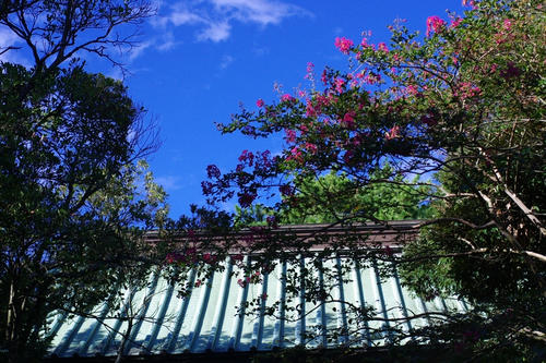 20120824