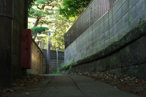 20120825