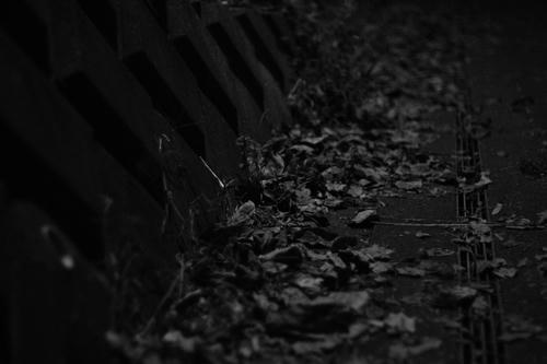 20121103
